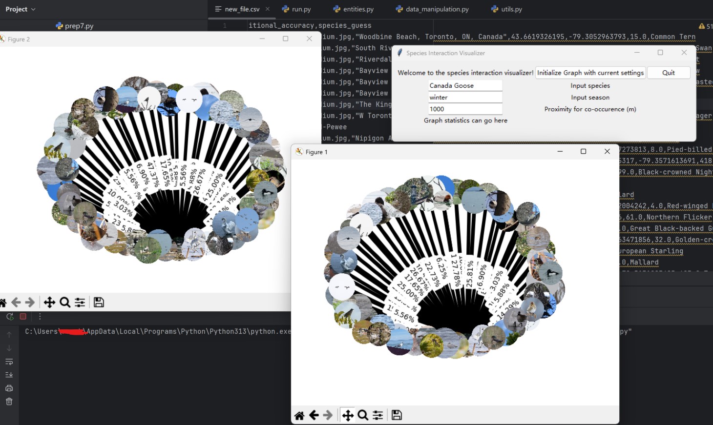 graph visualization 